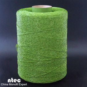 PE דשא ישר חוט